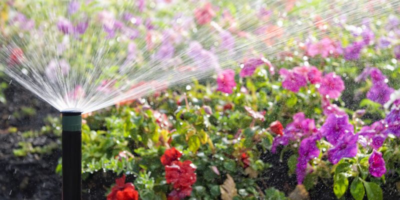 A quality exterior house paint used by a professional painter 